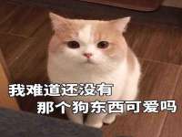 山西德音商贸有限公司