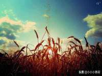 山西德音商贸有限公司