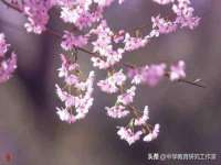 山西德音商贸有限公司