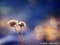 山西德音商贸有限公司