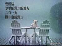 山西德音商贸有限公司