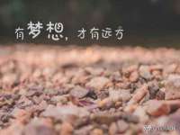 山西德音商贸有限公司
