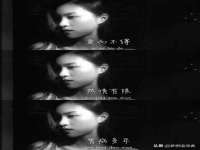 山西德音商贸有限公司