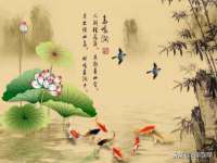 山西德音商贸有限公司