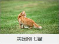 山西德音商贸有限公司