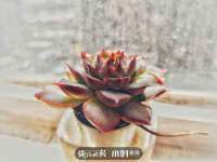 山西德音商贸有限公司