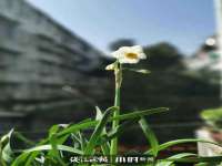 山西德音商贸有限公司