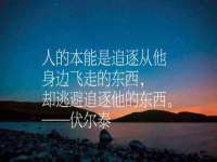 山西德音商贸有限公司