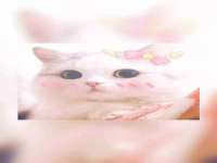山西德音商贸有限公司