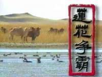 山西德音商贸有限公司
