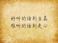山西德音商贸有限公司