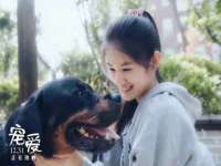 山西德音商贸有限公司