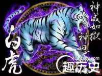 山西德音商贸有限公司