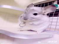 山西德音商贸有限公司