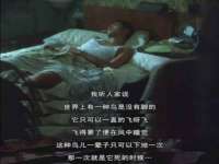山西德音商贸有限公司
