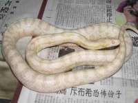 山西德音商贸有限公司